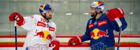 Red Bulls starten am Samstag ins Mannschaftstraining