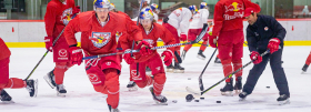Red Bulls have resumed team practice