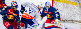 Red Bulls lose racy game by a razor-thin margin to ZSC Lions 