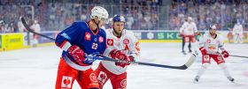 No CHL points in Mannheim despite strong final phase