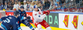 Red Bulls' narrow CHL defeat against DEL vice-champion Ingolstadt