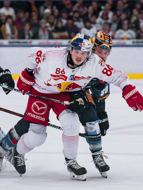 Red Bulls want to get ahead again against Black Wings Linz Red Bulls want to get ahead again against Black Wings Linz
