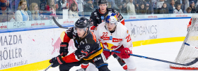 Red Bulls wollen bei den Pioneers Vorarlberg gleich nachlegen