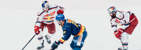 Red Bulls verlieren in Asiago mit 1:5