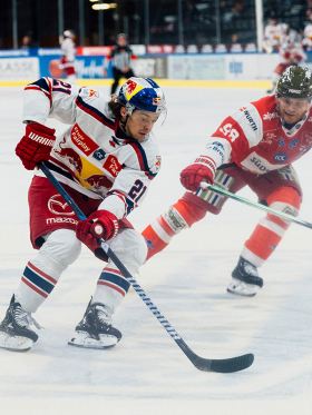 Sieg gegen den Tabellenführer | Red Bulls gewinnen in Bozen mit 3:2