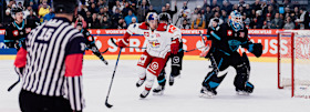 Überragende Red Bulls ziehen ins CHL-Viertelfinale ein