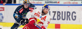 Derby Time | Red Bulls im Sonntags-Schlager gegen Black Wings Linz