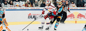Sunday's highlight: Red Bulls in derby with the Black Wings Linz  