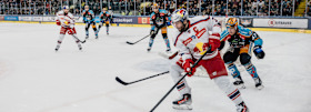 Narrow defeat for the Red Bulls in Linz