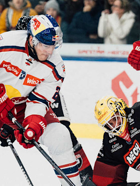 Red Bulls want to complete quartet against Feldkirch Red Bulls want to complete quartet against Feldkirch