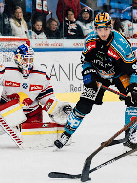 Red Bulls at home again against Black Wings Linz Red Bulls at home again against Black Wings Linz