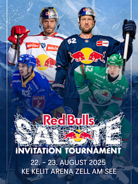Get your tickets now! Presale for the Red Bulls Salute 2025 launched