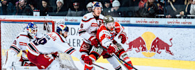 Serie wechselt nach Bozen | Red Bulls wollen zweiten Halbfinal-Sieg