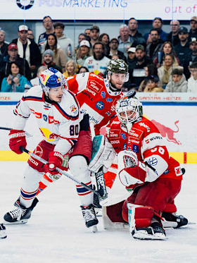 Red Bulls wollen in der Halbfinalserie in Bozen wieder vorlegen Red Bulls wollen in der Halbfinalserie in Bozen wieder vorlegen