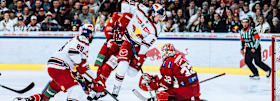 First final deciding game | Red Bulls want to win title at first attempt 