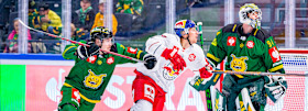 Red Bulls starten mit zwei Heimspielen in die Champions Hockey League