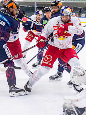 Red Bulls starten mit zwei Heimspielen in die Champions Hockey League Red Bulls starten mit zwei Heimspielen in die Champions Hockey League