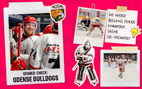 250603 Team-Vorstellung Odense Bulldogs Collage 250603 Team-Vorstellung Odense Bulldogs Collage