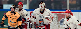 Bulldogs auf Europakurs