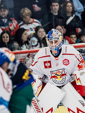 Red Bulls mit viel Respekt vor Bremerhaven Red Bulls mit viel Respekt vor Bremerhaven