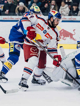 Red Bulls mit gespannter Vorfreude auf Heimspiel gegen Villach Red Bulls mit gespannter Vorfreude auf Heimspiel gegen Villach