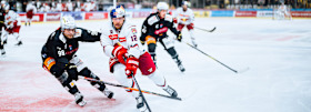 Red Bulls schlagen die Vienna Capitals mit 3:1