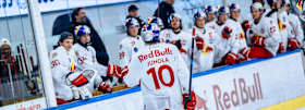 Red Bull Hockey Juniors gewinnen gegen Asiago