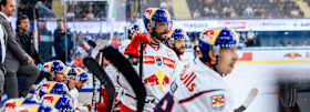 Anticipation builds for first game against league newcomers Budapest 