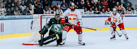 Red Bulls suffer narrow defeat against Ljubljana