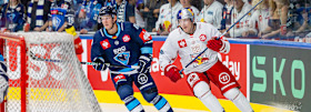 CHL Achtelfinale | Red Bulls starten auswärts gegen ERC Ingolstadt  