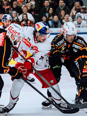 Red Bulls unterliegen Graz nach hartem Fight