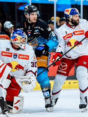 Nächste Station Linz | Red Bulls wollen Serie verlängern