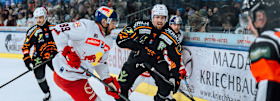 Red Bulls im Weihnachtsspiel gegen die Graz99ers 