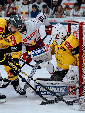 Red Bulls spielen gegen das Saisonende Red Bulls spielen gegen das Saisonende