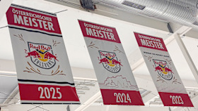 Geschichte der Red Bulls in Zahlen Geschichte der Red Bulls in Zahlen