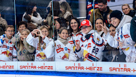 260420 Abokarte .- Fan-Bild im Text 