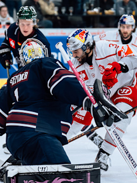 Red Bulls starten mit Heim-Doppel in die CHL 