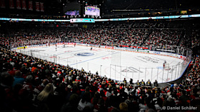260701 Vorgestellt-Kölner Haie - Bild Halle 260701 Vorgestellt-Kölner Haie - Bild Halle