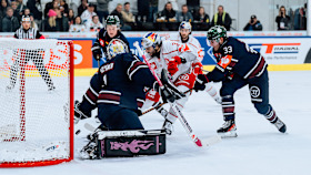 260729 Eisbären Berlin vorgestellt - Bild 1 260729 Eisbären Berlin vorgestellt - Bild 1