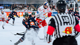 260729 Eisbären Berlin vorgestellt - Bild 2 260729 Eisbären Berlin vorgestellt - Bild 2