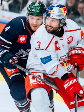 Die Eisbären sind los Die Eisbären sind los