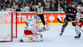 260729 Eisbären Berlin vorgestellt - Bild 3 260729 Eisbären Berlin vorgestellt - Bild 3