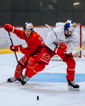Red Bulls starten gemeinsam in die neue Saison Red Bulls starten gemeinsam in die neue Saison