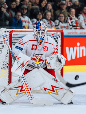 Red Bulls zum CHL-Auftakt gegen Kölner Haie Red Bulls zum CHL-Auftakt gegen Kölner Haie