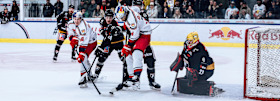 Red Bulls machen gegen Feldkirch 9-Punkte-Woche perfekt 